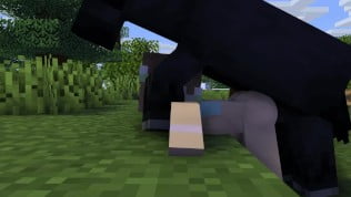 Minecraft Sex Fuck - Minecraft- She fucked by horse and a Wolf | Hentai Pass